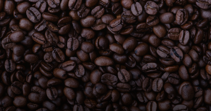 m8_banner_03